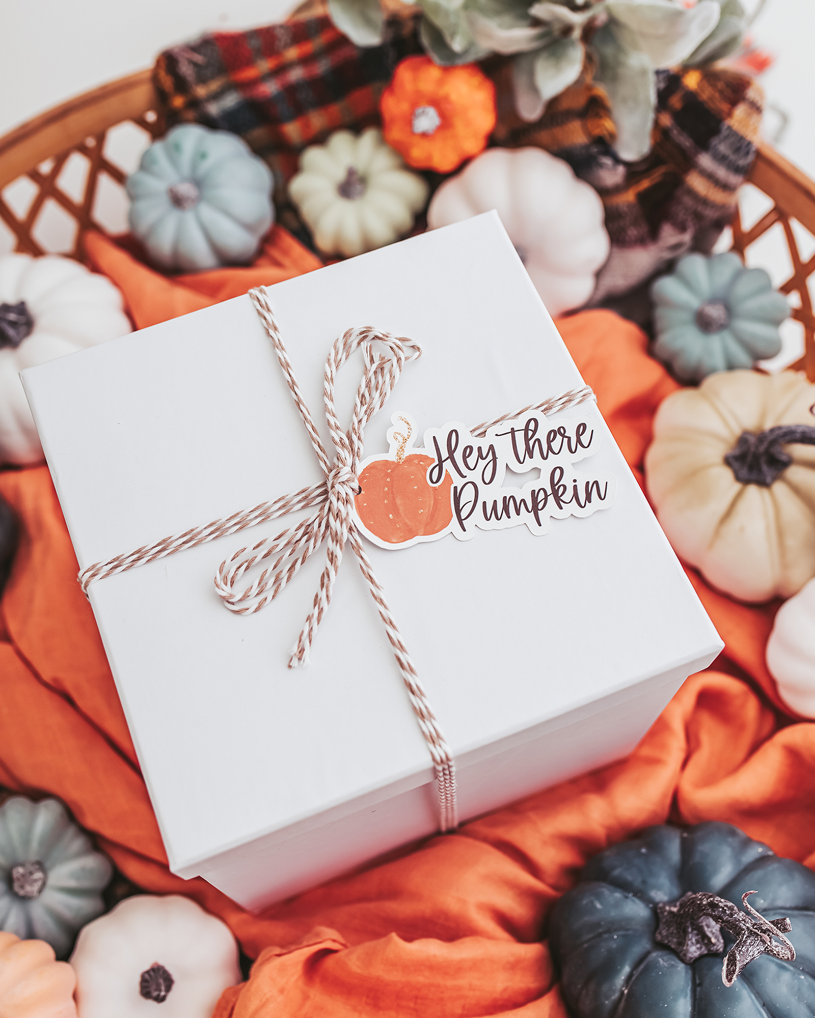 Pumpkin Everything Gift Set