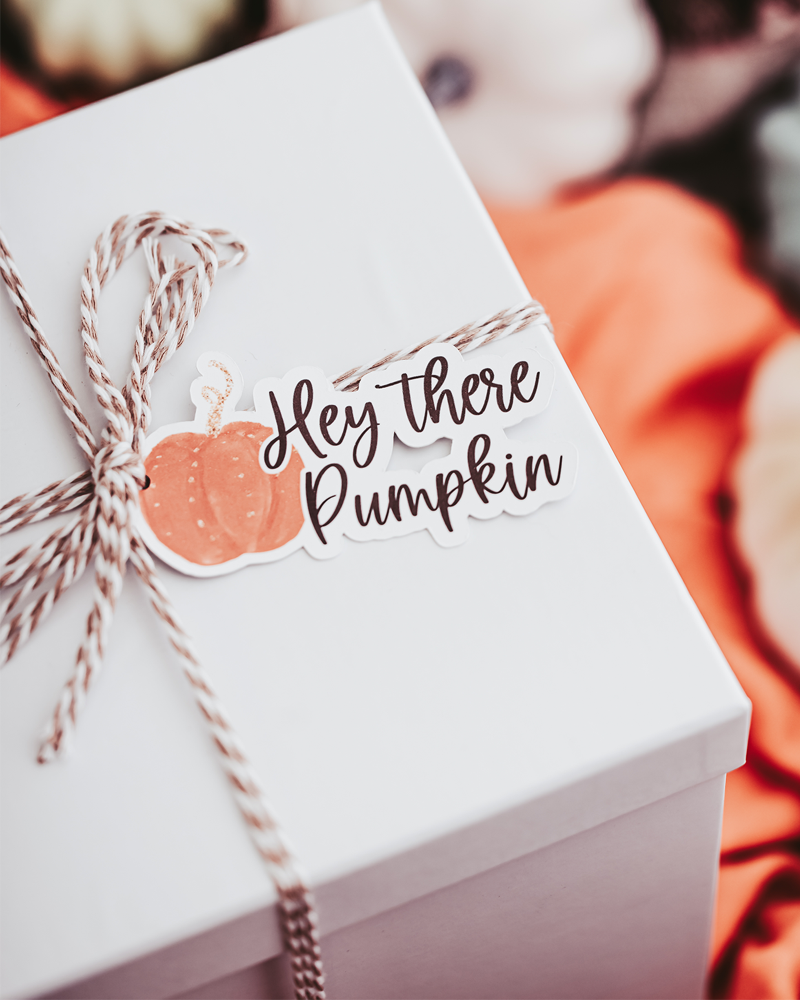 Pumpkin Everything Gift Set